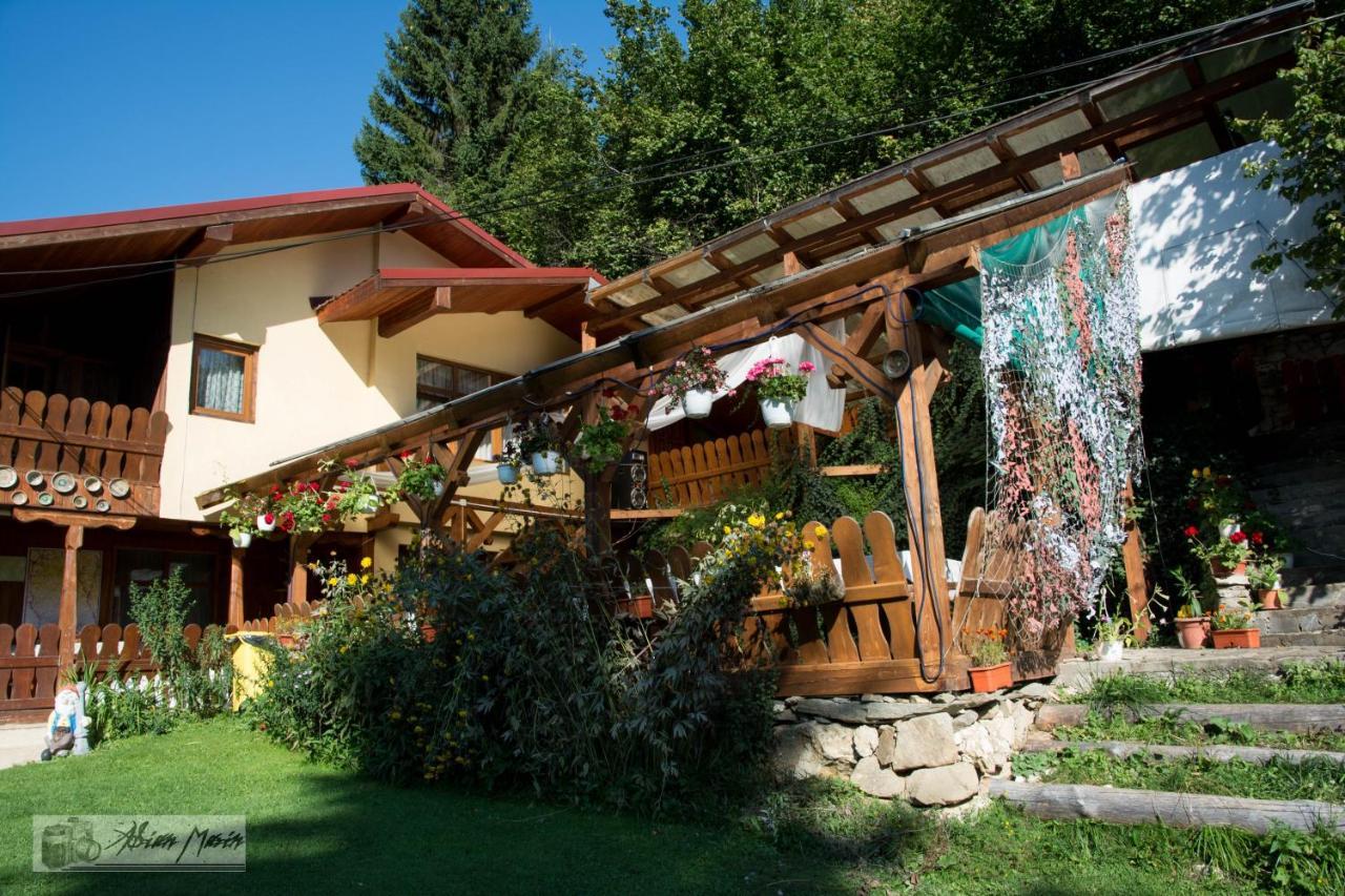 Cabana Suprema Armonie Dâmbovicioara Exterior photo